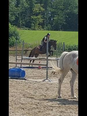 A post by @nina_et_cooper on TikTok caption: Séance d'obstacle avec Qualipso 😊 #poney #cheval #pourtoi #horse #cavalier #obstacles 