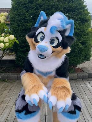 A post by @sheenitude on TikTok caption: The newest suit out of my workshop!🥰 meet Dani! #fursuit #furry #furryfandom #fursuitmaker 