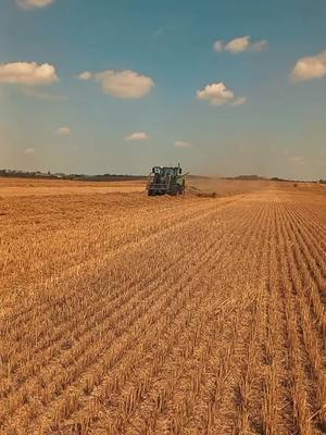 A post by @landtechnik_sk on TikTok caption: #CapCut #landtechnik_sk #landleben #ernte2024🌾🚜 #fyp #fy #landwirt #johndeere #johndeerepower #ernten #schwaden@Fabian @oskar.061 @♱ @DominikL 