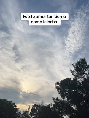 A post by @yami.roses on TikTok caption: #fu#tu#amor#jesusadrian 