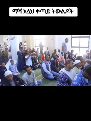 A post by @shanangibe0 on TikTok caption: #duet with @🅂🄰🄳🄰🄼🇸🇦 #oromotiktok❤️💚❤️ #ethiopian_tik_tok #muslim 