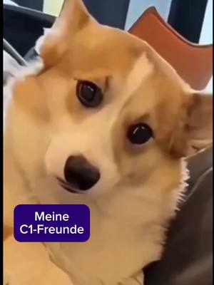 A post by @deutschd1 on TikTok caption: Folge ➡️ @deutschd1 ✅ 🇩🇪 Sind deine Freunde auch so ? 😀 #deutschlernen #deutschb1 #deutschb2 #deutschc1 #deutschfürfortgeschrittene #medizinischesdeutsch #deutschfürärzte