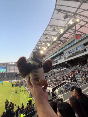 A post by @agfantasmic on TikTok caption: top tier soccer time!! ⚽️💛🍻🖤 #fyp#Soccer#Vlog#game#CapCut#Summer#lafc 