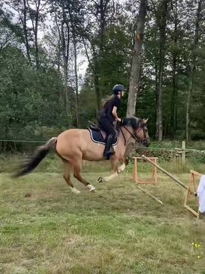 A post by @five.hbn on TikTok caption: séance d’aujourd’hui avec Baby et @lena 🌺 après 3 mois 