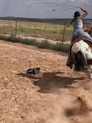 A post by @micheala.b on TikTok caption: burnt some hide today. 🎀✨ #fypツ #brandingcalves #ranchhorse 