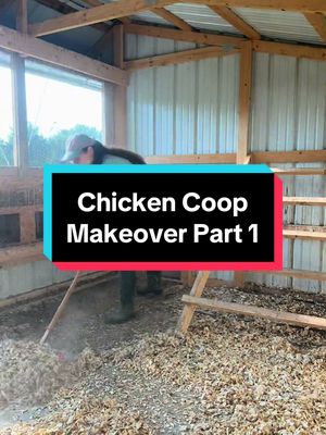 A post by @feralfarmky on TikTok caption: Finally starting the transformation of my chicken coop into Barbie Chicken Dream Coop #barbie #pink #makeover #transformation #chickensoftiktok #chickencoop #feralfarm #feralfarmky #foryoupage #fyp 