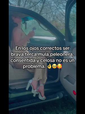 A post by @sulyerazo1 on TikTok caption: #fy #mujeres #foryou #tiktoker #😉 Solo un verdadero macho cierto!! 