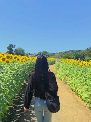 A post by @sreyoun4472 on TikTok caption: 🌻🌻