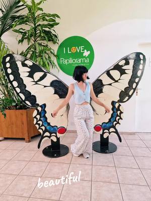 A post by @adrianamarques240 on TikTok caption: #butterfly #espècerares #rarebutterfly #papilorama 