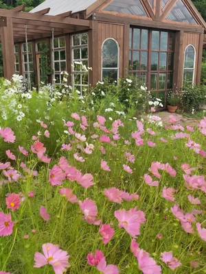 A post by @aframe.on.fletcher on TikTok caption: The greenhouse on strawberry lane is heaven on earth 🌳🌸🪶