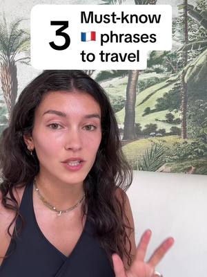 A post by @learneverydayfrench on TikTok caption: make sure to add "s’il vous plait" after each of these sentences 😉#tips #traveltips #french #france #learnfrench #speakfrench #frenchlesson #LearnOnTikTok #spokenfrench 