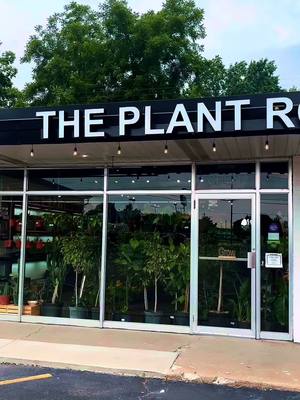 A post by @theplantroomsgf on TikTok caption: Its your favorite midwest plant shop stop!