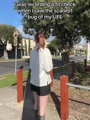 A post by @notogphos on TikTok caption: in hindsight it was probably just a stink bug but it scared the crap out of me #fyp #fitcheck 