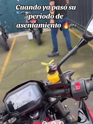 A post by @cesar_med on TikTok caption: Llego mi turno 🥴🔥 #kawasa #motosport #z650🏍️💚 #kawasaki #paratii #tiktok 