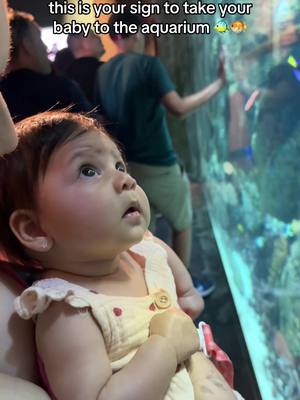 A post by @notmyughh on TikTok caption: she loved it so much!!                                                                                                .                                                                    .                                                                   .                                                                  #firsttimemom #babyfever #aquarium #5monthsold #momlife