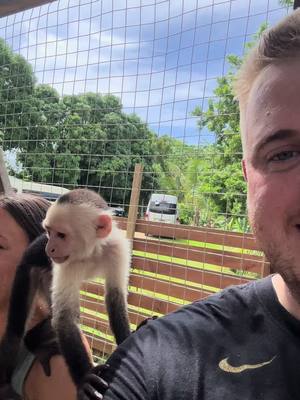 A post by @funtimefederation on TikTok caption: Such an aweosme day with our new friends! #monkeys #baby #fun #fyp @@vanessainboston 