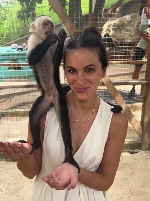 A post by @funtimefederation on TikTok caption: A dream come true! #monkeys #monkey #fun #dream #fyp @nessamhurley 