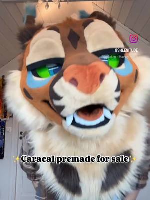 A post by @sheenitude on TikTok caption: Showing off my recent premade, still accepting offers! 🩷🩷 #furry #fursuit #fursuitmaker  Design by @splashzonesuits 