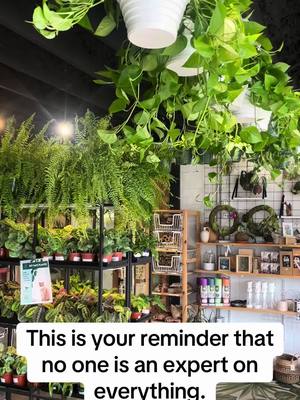 A post by @theplantroomsgf on TikTok caption: #plantparent 