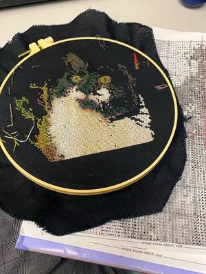 A post by @lilthiccgyoza on TikTok caption: My first cross stitch. For @Kiluah due to the loss of her three year old tortise baby. The moment i heard of this loss, i dropped all my crafts and knew I was going to push myself through this new project. At least 50 hours and only poking myself a few times with a needle. Now to figure out how to ship it. #crossstitch #cat 