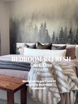 A post by @bailey.at.home on TikTok caption: Lil series starting today!! Stay tuned for what comes next! #bedroomdesign #bedroommakeover #bedroomdecor #bedroom #diyproject #doityourself 