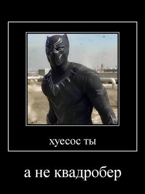 A post by @fan_sp1der on TikTok caption: без оскорблений никак  #fan_sp1der #marvel #buckybarnes #blackpanther #falcon 