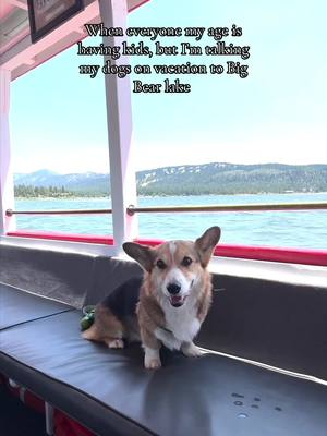 A post by @pavlovthecorgi on TikTok caption: Exploring Big Bear Lake with Pavlov and Maslow was so fun! 🐾 We hiked beautiful trails and enjoyed dog-friendly activities like a scenic Big Bear Queen Lake Boat tour. @Visit Big Bear is a perfect dog-friendly getaway for your next adventure! #VisitBigBear #sponsored #ad