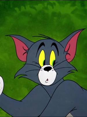 A post by @taotoi982 on TikTok caption: #cartoon #tomandjerry 