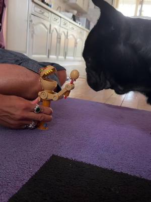 A post by @rhonthefrenchie on TikTok caption: Patience… #sucette #jeux #bouledogue #bibou