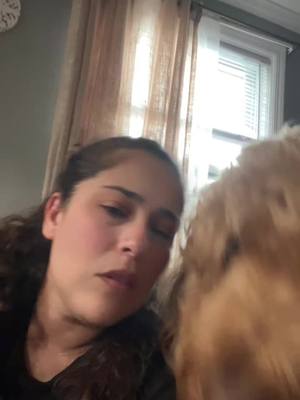 A post by @goldencooper4 on TikTok caption: El amore perruno pude hacer lo q quiera 🥰🥰🥰#paratupágina #goldenddoodle #dogsofttiktok #fypシ 