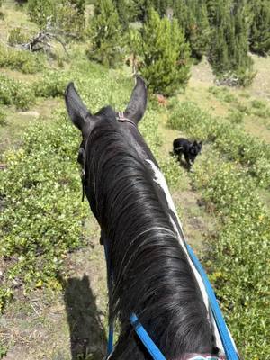 A post by @dakotaswildflowers on TikTok caption: Rode up bear creek pass up to the ice caves way past kirwin! 