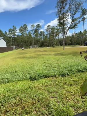 A post by @_its_danna on TikTok caption: Thinking about doing some time lapse content on overgrown yards. What yall think? #fyp #stateline #florida #foryou #CapCut #grasstok #scag @StateLine Outdoors™️ 