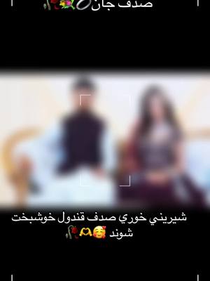 A post by @princesstamoo8 on TikTok caption: #afghanistan🇦🇫 #tolotv #canada_life🇨🇦 #foryou #افغانستان 