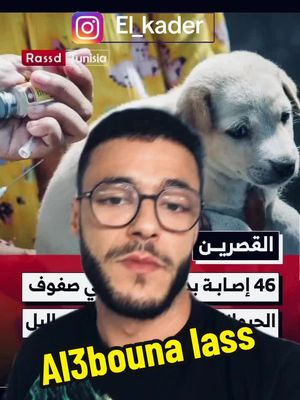 A post by @abdelkader_msihli0 on TikTok caption: #شعب_الصيني_ماله_حل😂😂 #fyp #fyp #fypage #تونس🇹🇳 #الجزائر🇩🇿 #ليبيا🇱🇾 #fypp #fyppppppppppppppppppppppp #fypforyou #elkader #داء_الكلب #جدري_القرود 