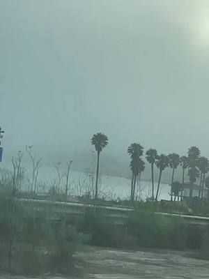 A post by @xoxo_airez on TikTok caption: A drive to Santa Barbara #mountain #rain #fog #palmtrees #santabarbara #californiaadventure 