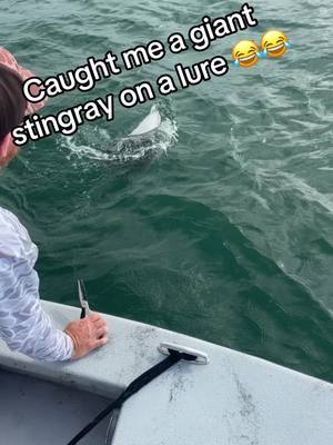 A post by @jasonconnfishing on TikTok caption: Stingrays are not fun lol#