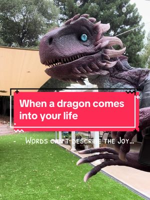 A post by @broodmothersnest on TikTok caption: A dream come true 🥹 #dragon #dragons #dream #dungeonsanddragons #dragonpuppet #cosplay #fantasy #puppet #houseofthedragon #houseofdragon #renaissance #renfaire #adventure #fyppppppppppppppppppppppp #fypage 