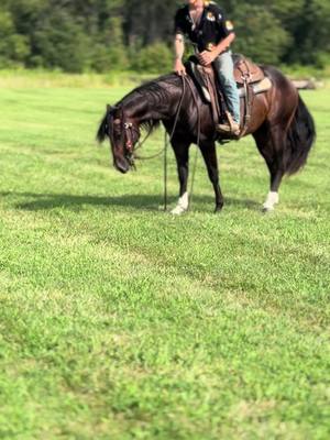 A post by @that_beemer_kid on TikTok caption: Just groovin with my boy ⚡️😎 #4110performancehorses 