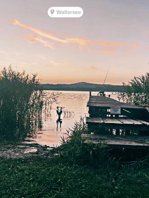 A post by @phillipipip_ on TikTok caption: #camping #see #wallersee #grillen #chill #sommer #sommer2024 #lebengenießen #freundschaft #salzburg #sonne #sonnenuntergang @roliwe1 