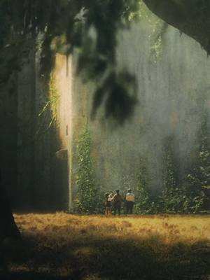 A post by @emm.editor on TikTok caption: the glade was so peaceful |#mazerunner #mazerunneredit #mazerunnertok #themazerunner #themazerunneredit #aesthetics #edit #newtmazerunner #thomasmazerunner #dylanobrien #thomasbrodiesangster #theglade #thegladedit #tmr #tmredit #foryou #fyp #foryoupage