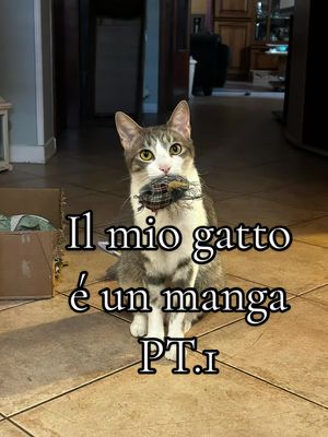 A post by @_martinavivio on TikTok caption: Se il mio gatto fosse nel mio manga! PT.1 #manga #mangaka #cat #mangacat #mycharacter #myoc 