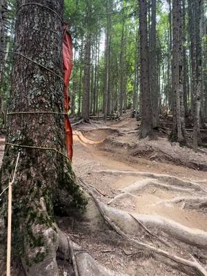 A post by @zenss.noah on TikTok caption: Full gazz  #race #chrono #fast #downhill #spot #pleney #Love #loveyou #jungle #junglist #dnb #drumandbass #mtb #mtblife 