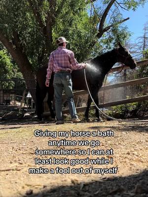 A post by @sarahhcollier on TikTok caption: Young horses are fun right? 