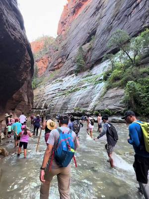 A post by @jacob_remm on TikTok caption: the narrows ⛰️⛰️ #narrows #zion #utah 