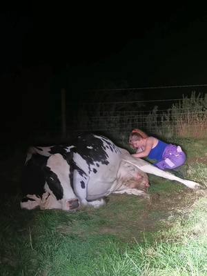 A post by @farmerjeans on TikTok caption: Life recently🐣🐄💟 #cowtok #babyboom #autumncalving #farmtok #fyp #womeninag #newlife #backbritishfarming #thankafarmer #drinkmilk #undeniablydairy #cowgirl #farmher #farmgirl #dairyfarming #youngfarmer 