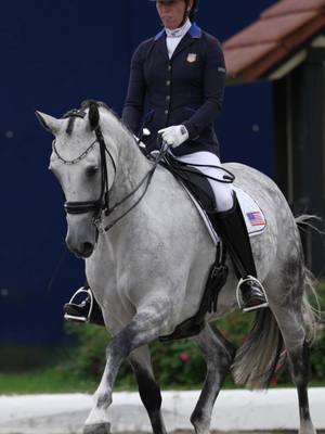 A post by @usequestrian on TikTok caption: go time. #USAParaDressage | #Paris2024 