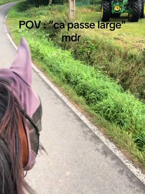 A post by @momofromtheplanty on TikTok caption: Jument de 8 ans au licol et a cru. #cheval #equestrian #equitation #chevalpassion #chevaltiktok #horse #horses #horsesoftiktok #satisfying 