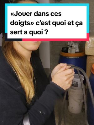 A post by @laet.brb on TikTok caption: Réponse à @cocobaudez désolée du délai de réponse 🤣 les journées sont plus longues chez moi que chez les autres 🤣 quand je te dis demain c'est toujours dans quelques jours 🤣 #mettresurlamain #chevalenplace #surlamain #dressagehorse #equitationdressage #cavalier #cavaliere #coursequitation #equitation #horses #cheval #equitationrespectueuse 