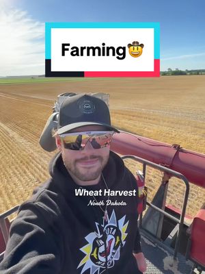 A post by @cuddy17 on TikTok caption: Successful Harvest! 🌾🚜 