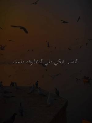 A post by @radwan_hegazy on TikTok caption: النفس تبكي على الدنيا وقد علمت 🤎